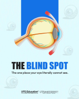 The Blind Spot.pdf